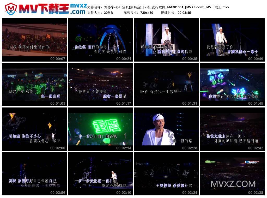 刘德华-心肝宝贝(演唱会)_国语_流行歌曲_MA301081